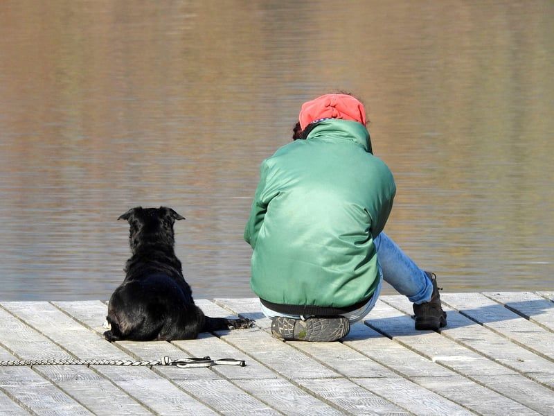 humain et animal
