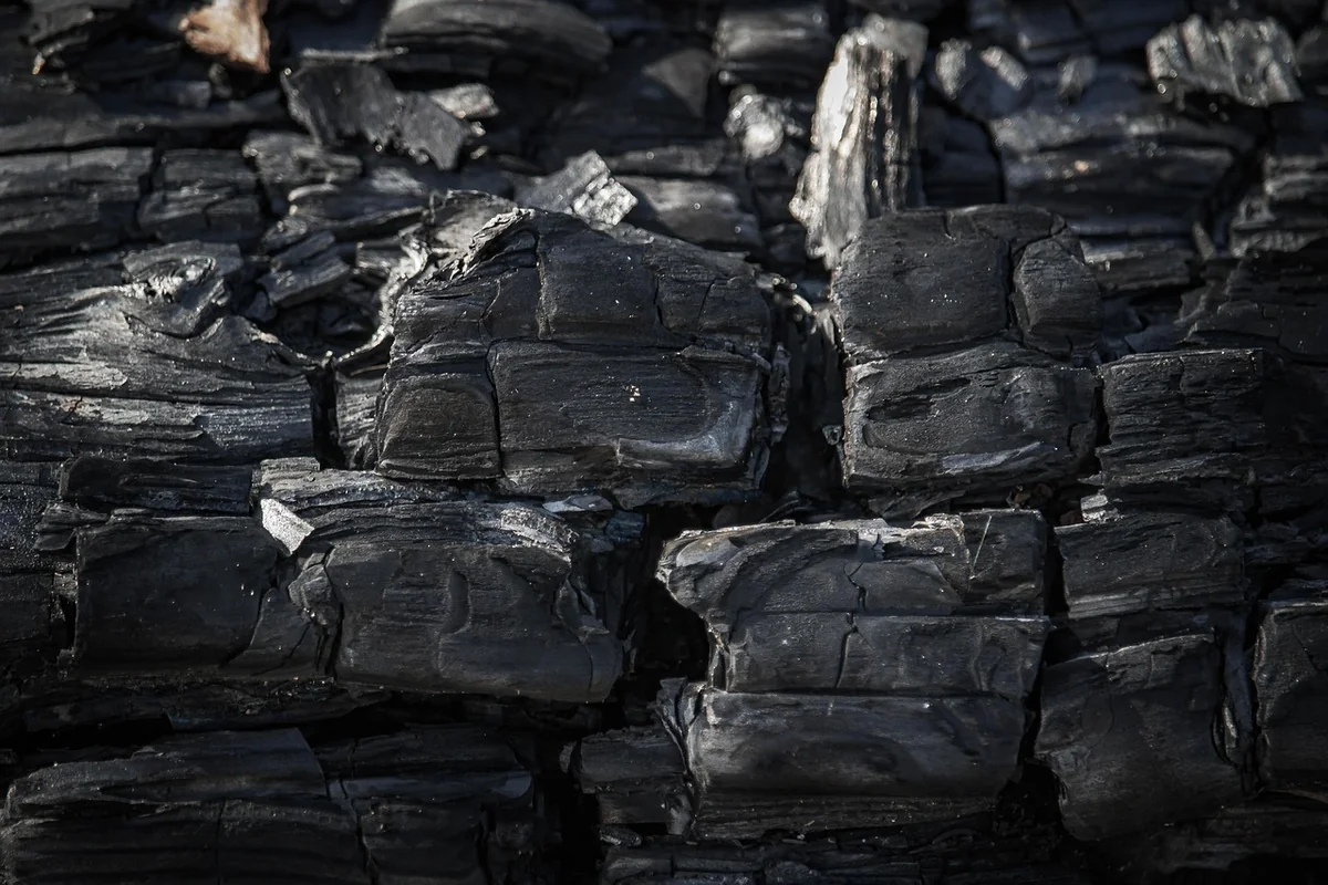 Impact environnemental : le vrai bilan carbone