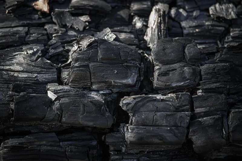Impact environnemental : le vrai bilan carbone